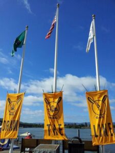 700 Activists Gather, Hang From Columbia River Bridge Image